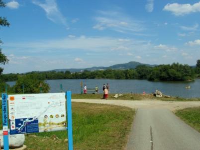 Wiesen